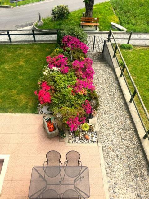 Willa Azalea Di Gigliola Ziello - "Casa Azalea" Cremia Zewnętrze zdjęcie